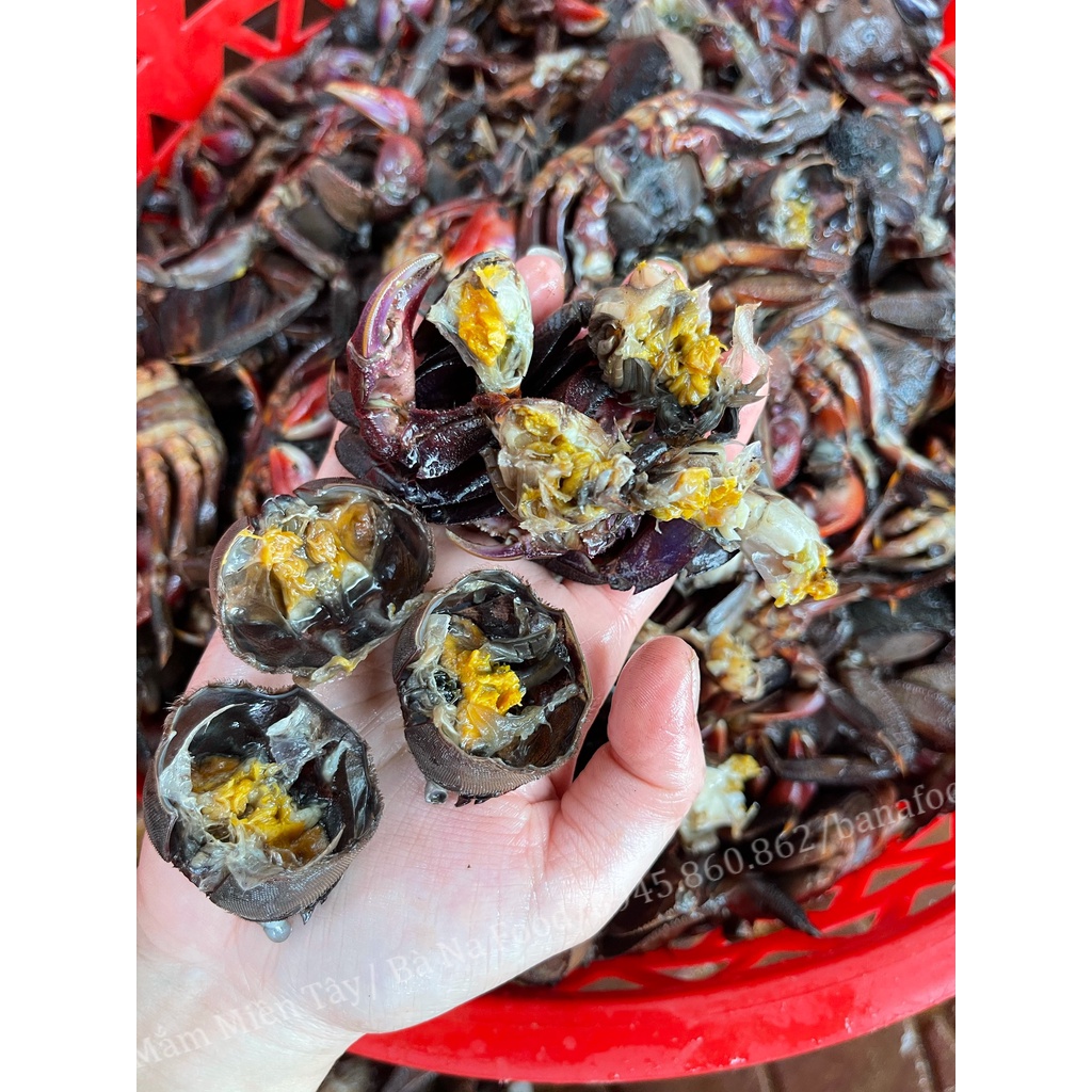 [Đặc sản Cà Mau] Ba khía trộn sẵn siêu thơm ngon &amp; bổ dưỡng hủ (700g)- Bà Na Food