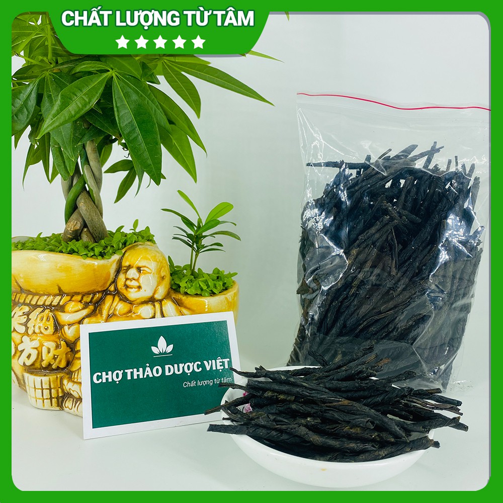 Chè đắng khô 100g (Trà đắng đặc sản Cao Bằng thơm ngon) - Chợ Thảo Dược Việt