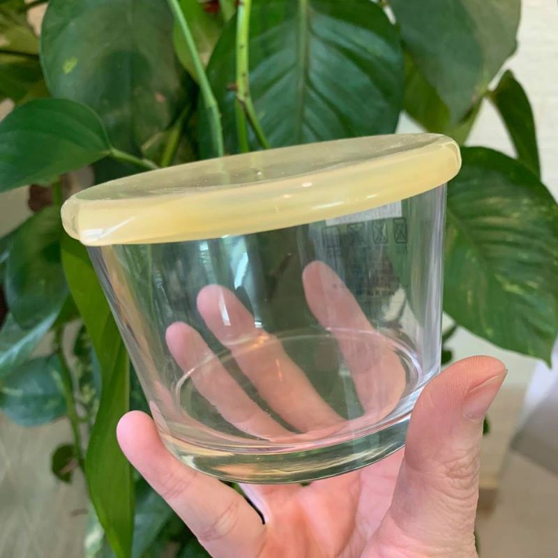 Hộp thủy tinh làm sữa chua , đựng thực phẩm có nắp đậy 250ml