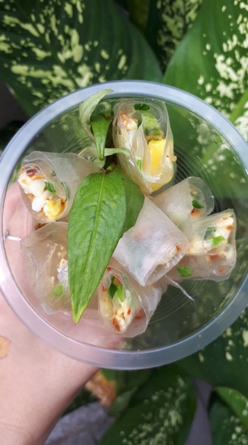 [Mã GROXUAN1 giảm 8% đơn 150K] Bánh tráng phơi sương đặc sản Gò Dầu Tây Ninh | BigBuy360 - bigbuy360.vn