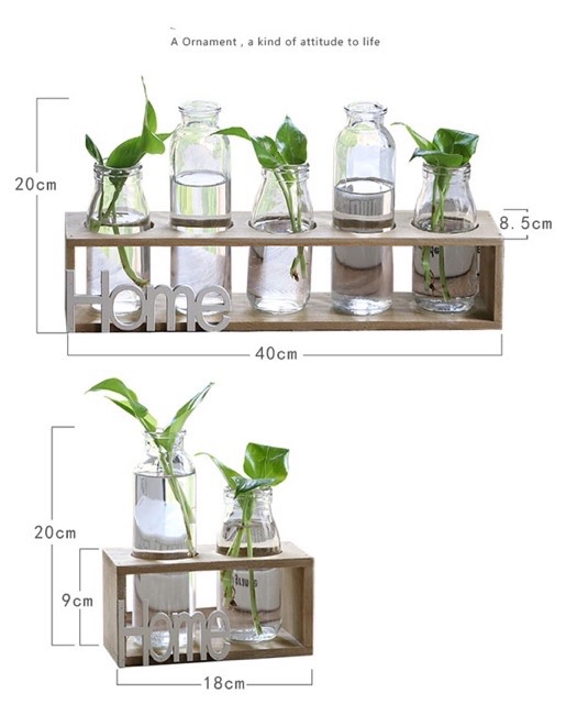 Sét 5 lọ hoa thuỷ tinh HOME