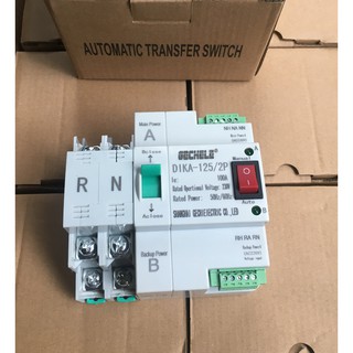 Bộ chuyển nguồn điện ats 2p 100a dika-125/2p