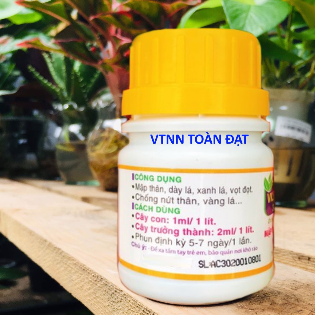 Phân Bón Lá NPK Sinh Học VK HUMAT lọ 50ml, Mập Thân, Dày Lá, Vọt Đọt