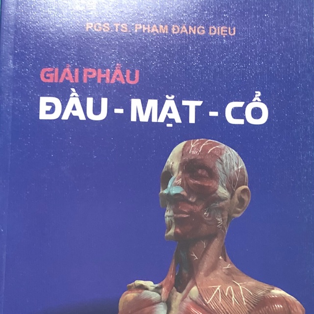 Sách - giải phẫu đầu mặt cổ
