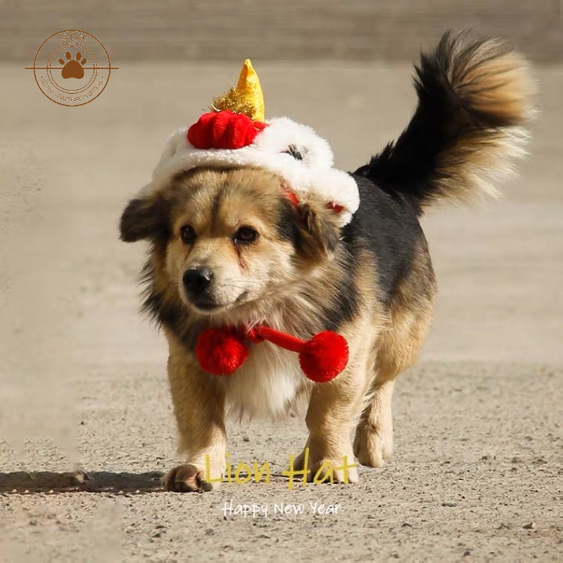 [Rẻ vô địch] Mũ lân chơi Tết cho chó mèo - 4pets official