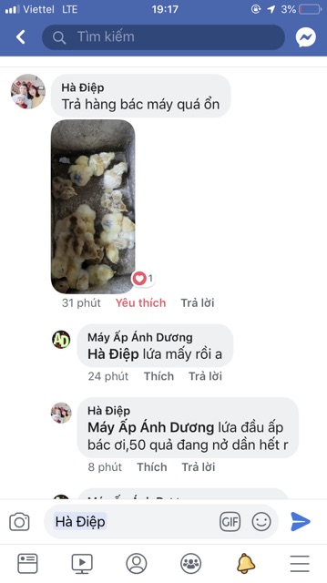 MÁY ẤP TỰ ĐỘNG 56 TRỨNG TỰ LẮP THÙNG XỐP TẶNG 5 CỐC NƯỚC GÀ TỰ ĐỘNG