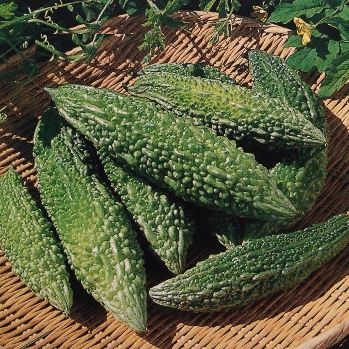 Grow more NPK 6-30-30 100gram phân bón lá kích ra hoa, phát triển bộ rễ