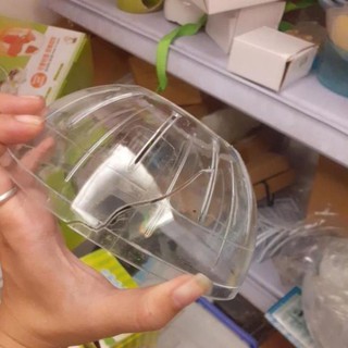Bóng chạy hamster có đế và không đế - kiwikiwi