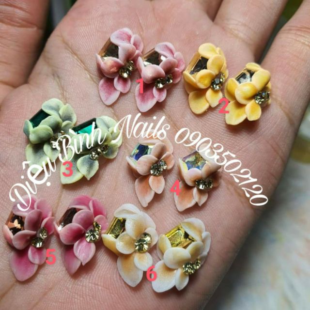 Hoa bột ôm đá khối