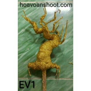 Gốc kim tiền vàng ev1
