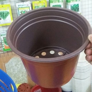 Chậu Nhựa Trồng Cây Size 23 x 16cm