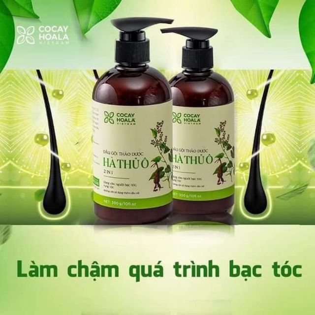 Dầu gội Hà Thủ ô, giảm tóc bạc, ngăn rụng tóc Cỏ cây hoa lá 300ml