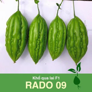 2Gram Hạt Giống Khổ Qua Trái Dài