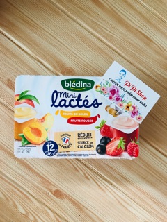 SỮA CHUA BLEDINA PHÁP CHO BÉ 6+