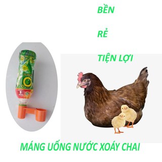 Máng uống tự động cho chim (Nút Chai)