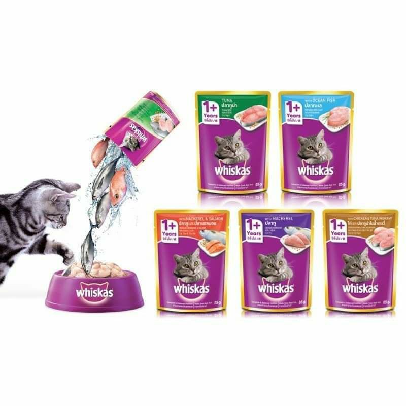 Pate Whiskas 85G cho mèo con từ 2 đến 12 tháng và mèo trưởng thành trên 1 tuổi