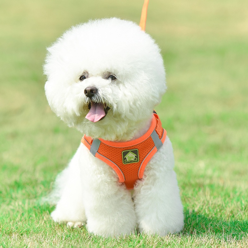 Dây dắt chó đi dạo ,dây yếm đai áo ngực cho chó mèo có vòng phản quang CANDYPETS DD01