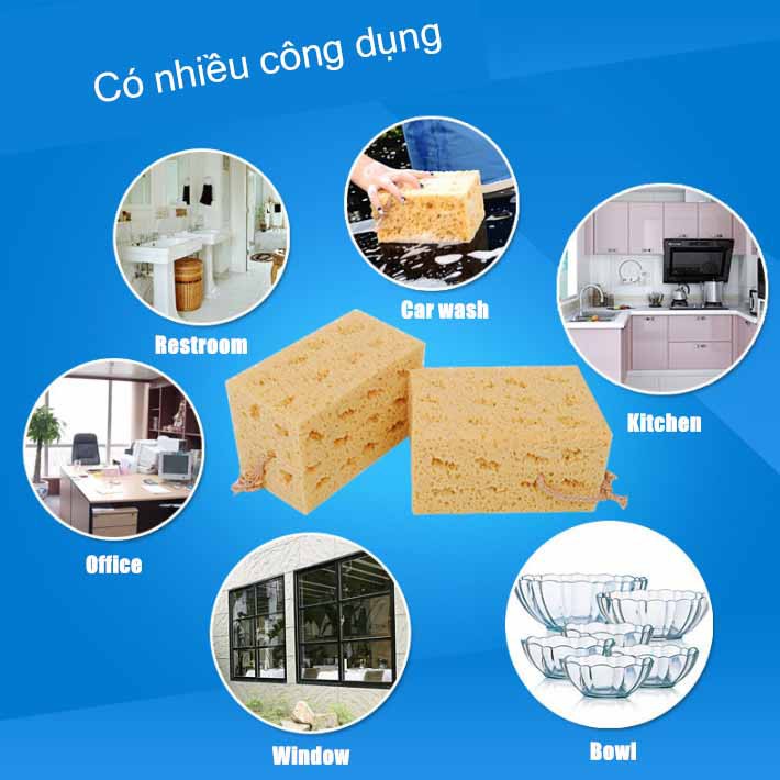 Miếng mút kết cấu tổ ong mật độ cao thấm hút nước làm sạch bụi bẩn vệ sinh xe hơi