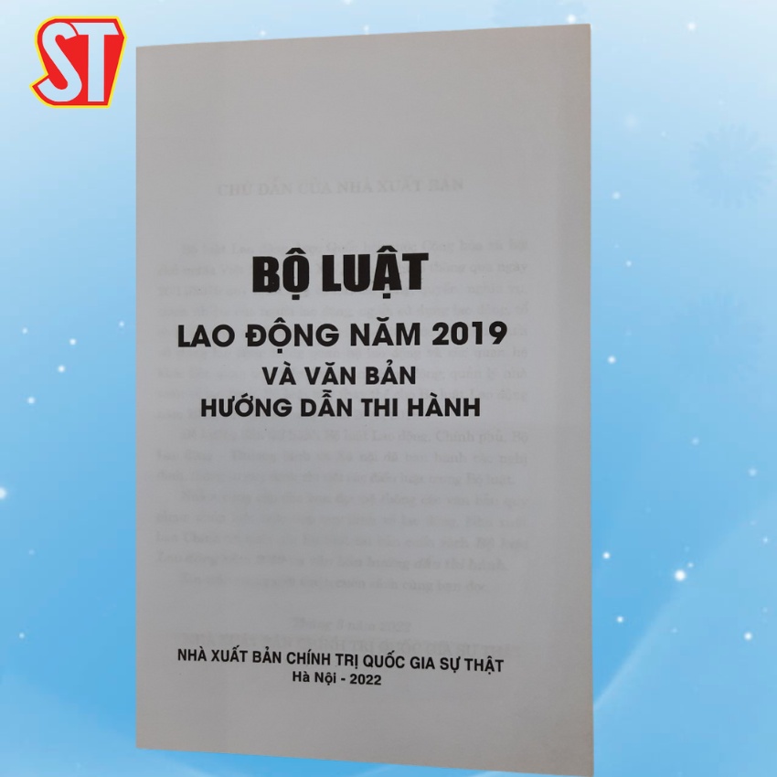 [Sách] Bộ luật lao động năm 2019 và văn bản hướng dẫn thi hành | BigBuy360 - bigbuy360.vn