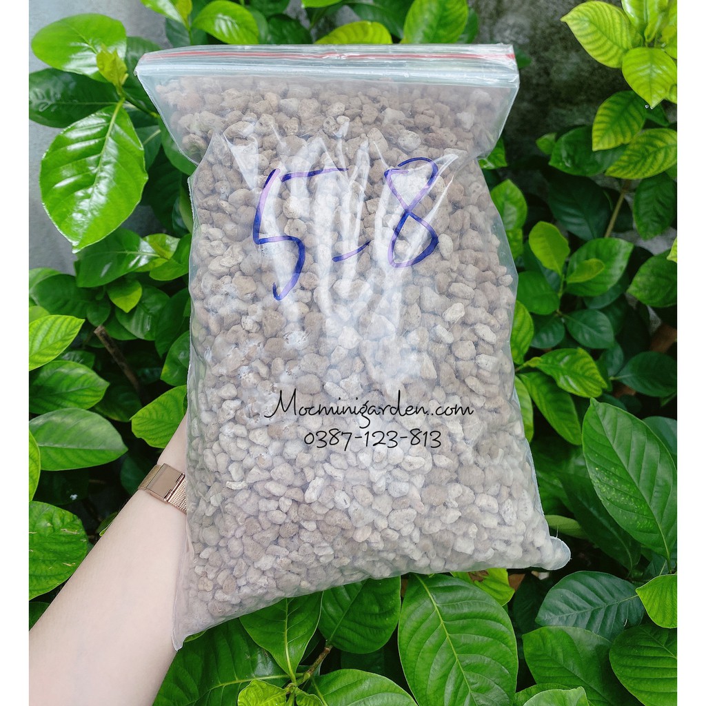 Đá Bọt Pumice Indonesia || Nhiều Kích Thước - Vật Tư Quan Trọng Trong Ngành Trồng Cây | Mocminigarden