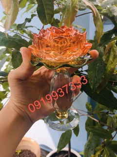Đế đốt đèn hoa sen pha lê ( cao 15 cm )