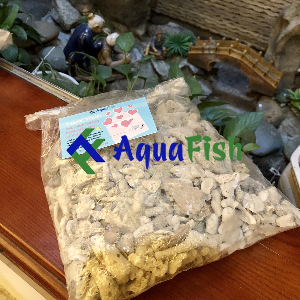 San Hô Vụn 1kg Dùng Cho Lọc Nước Bể Cá, Hồ Cá Koi