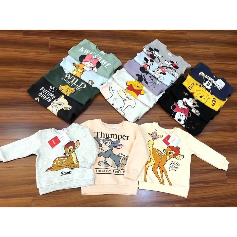 Áo nỉ bông Disey dư xịn
