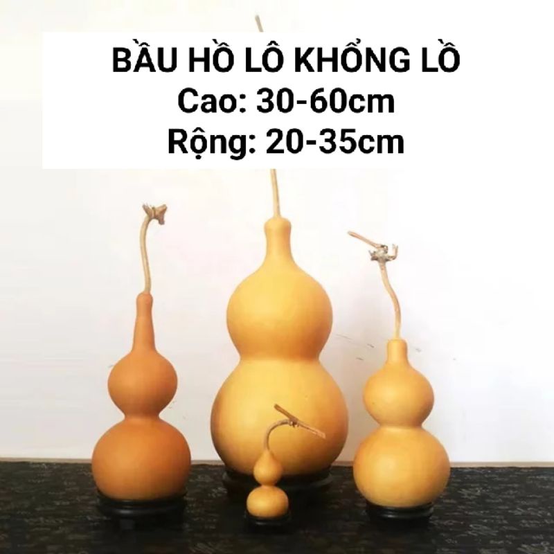 Hạt giống bầu hồ lô khổng lồ dễ trồng, chịu nhiệt tốt gói 20-30 hạt