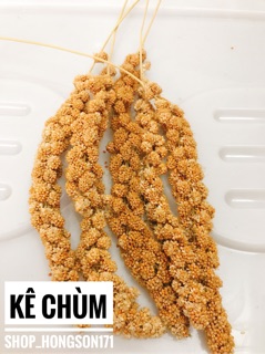 Kê chùm gói 100gr
