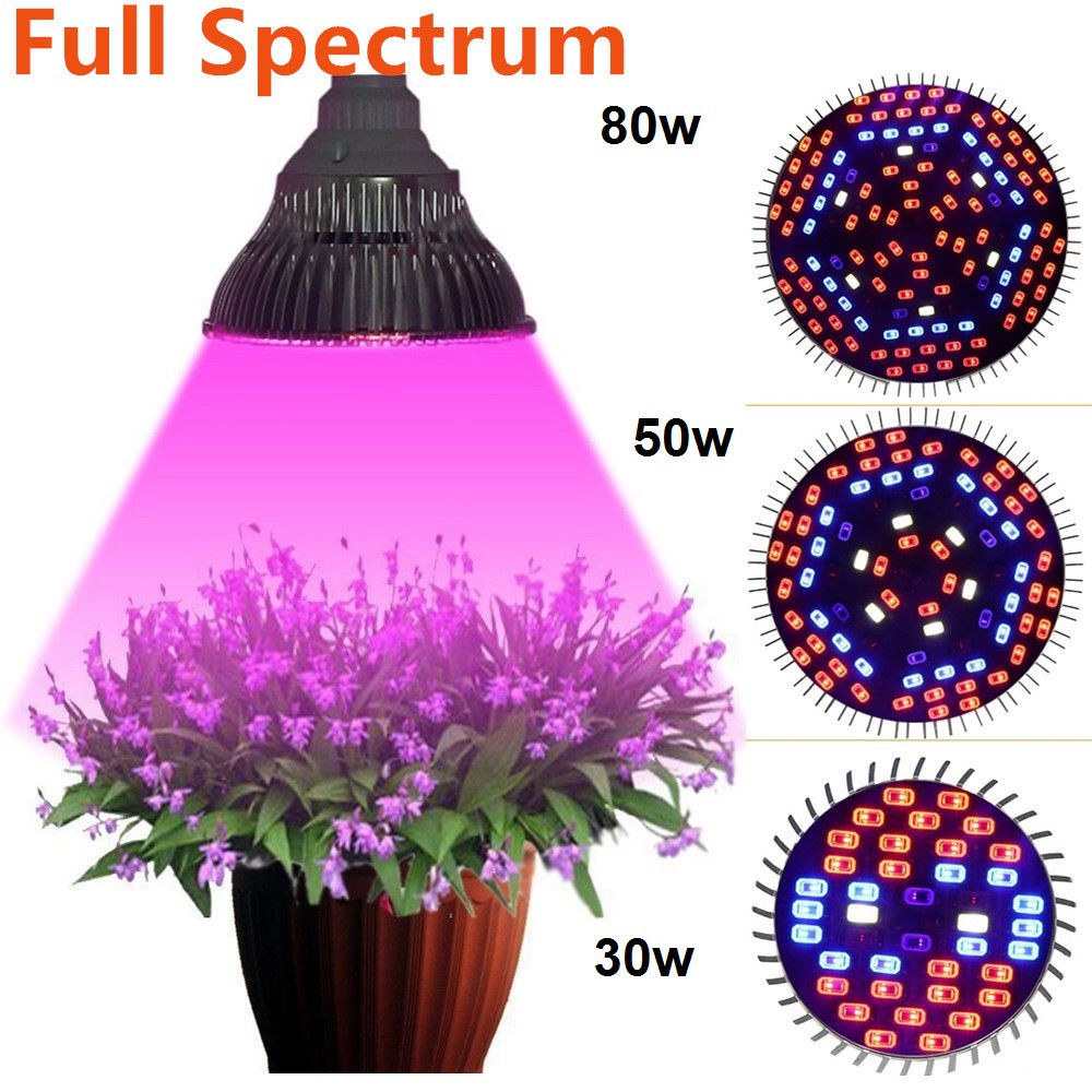 Đèn trồng cây, trồng rau trong nhà, Led grow lights 50W-E27, Đèn quang hợp cho cây