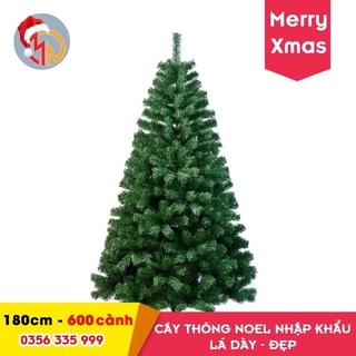 Cây thông noel xanh trơn 1m8
