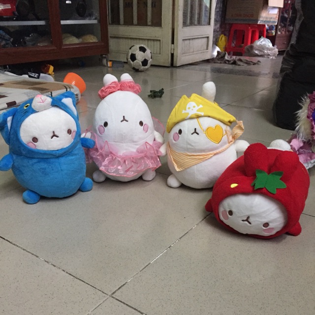 molang