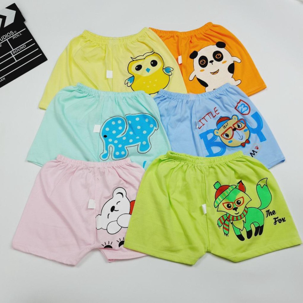 Quần chục cotton cho bé trai và bé gái (HN 66)