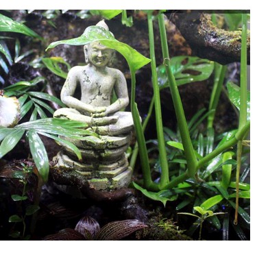 Mô hình tượng Phật trang trí hồ cá, bể cá, bể thủy sinh, hòn non bộ - set bán cạn