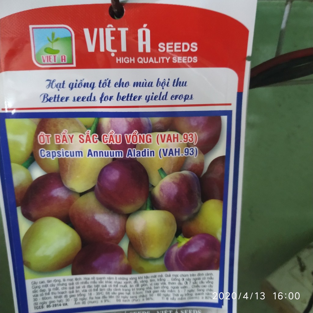 Hạt giống ớt bảy sắc cầu vồng 20 hạt