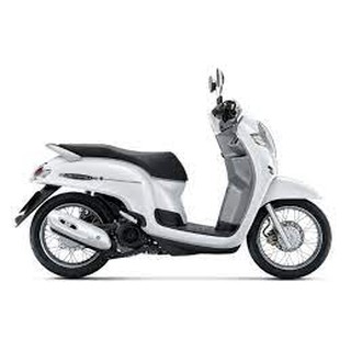 Xe máy nhập khẩu Honda Scoopy 110cc