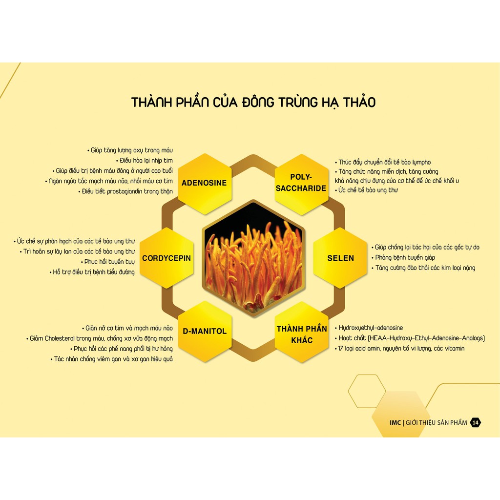 Đông trùng hạ thảo sấy thăng hoa cao cấp hộp 15g Vigor Toàn Tâm