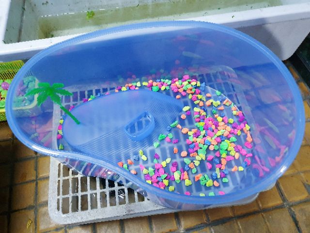 BỂ NUÔI RÙA BABA THÚ CƯNG 38x28x14cm