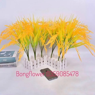 Bông lúa thóc vàng 5 nhánh 43cm