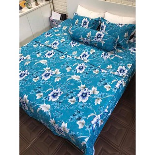 Bộ ga gối Poly Cotton trần bông