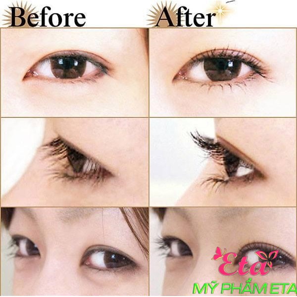 Kẹp mi The Face Shop Premium Eyelash Curler TFS vàng kèm lõi thay dễ dàng sử dụng