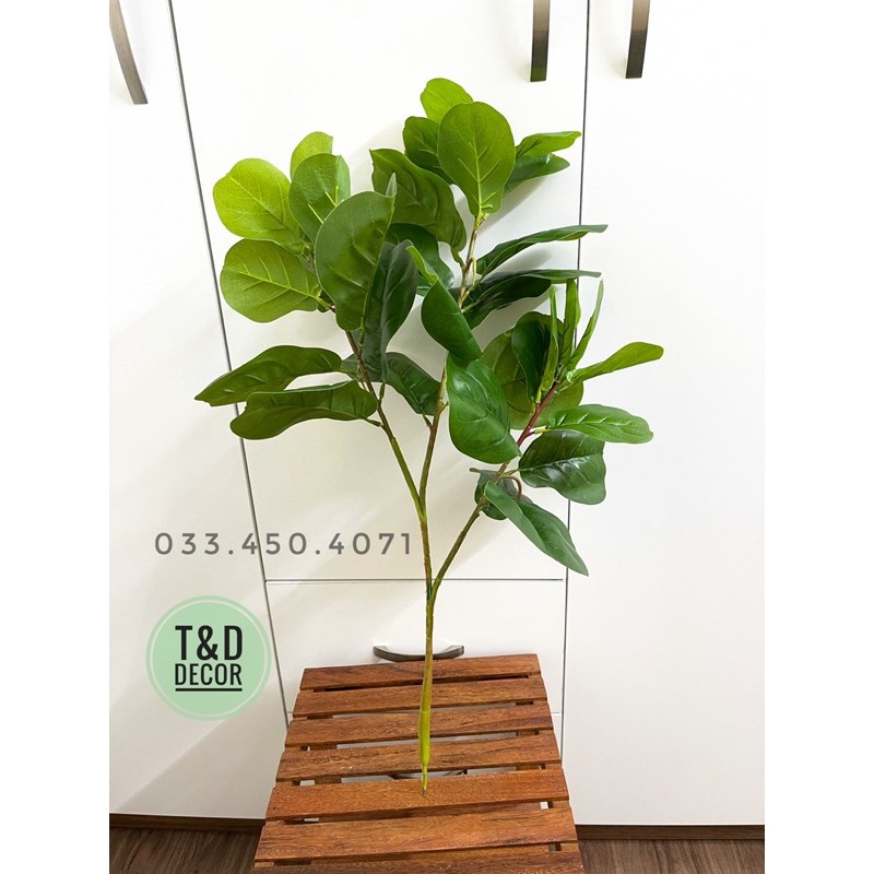 Cây bàng singapore 70cm (cây giả)