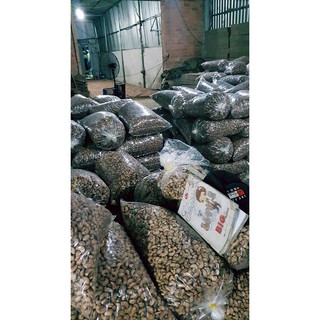 Hạt điều xuất khẩu loại I