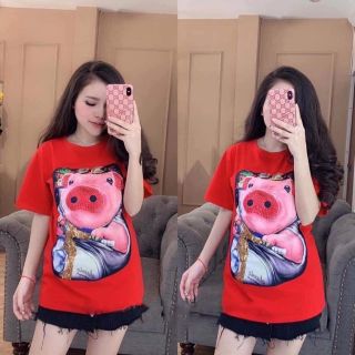 Áo mèo, lợn kim sa