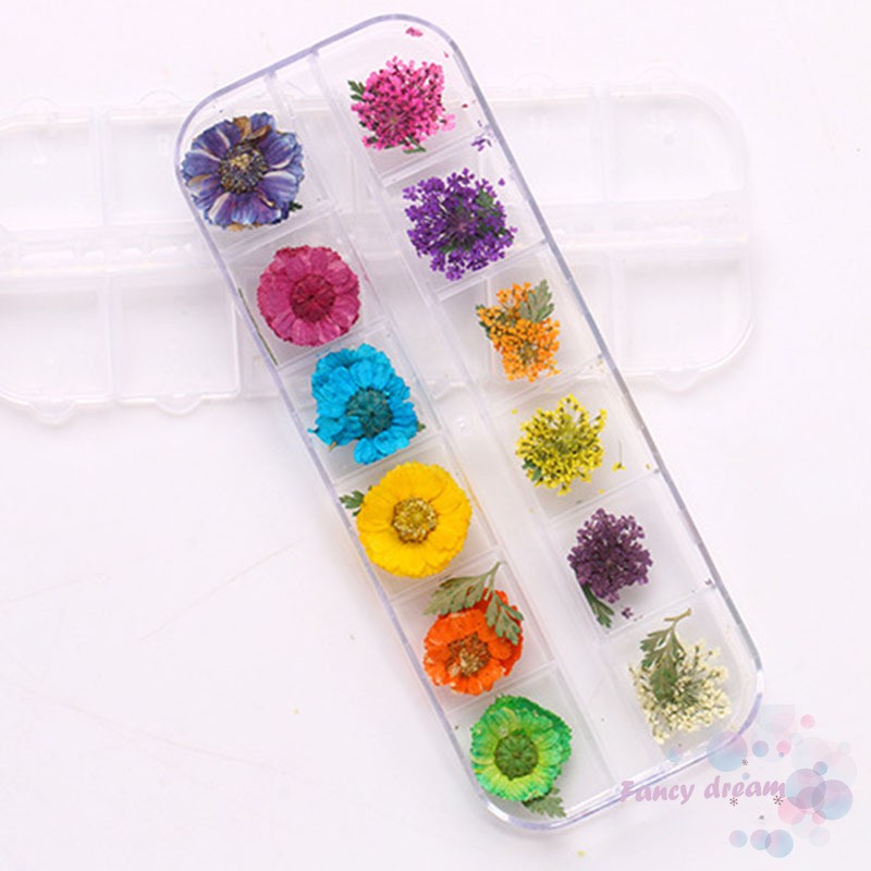 Hoa khô ép 3D với 12 kiểu màu khác nhau dùng để trang trí móng tay