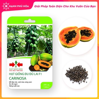 Hạt Giống Đu Đủ Lai F1 CARINOSA 4 Hạt/Gói- Dễ Đậu Trái, Ruột Màu vàng Cam. Ăn Rất Ngon. Năng Suất Cao