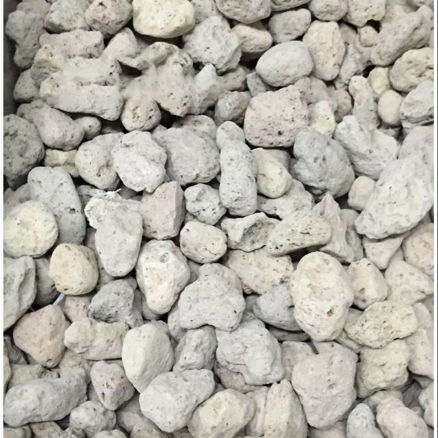 Đá bọt Pumice, đá núi lửa( đá thấm thủy)