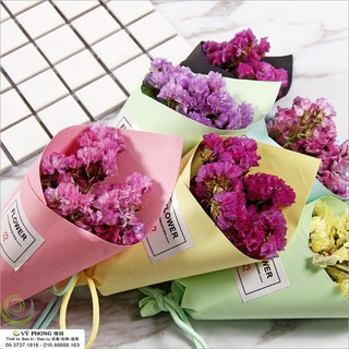 [ĐẠO CỤ CHỤP HÌNH] HOA KHÔ TRANG TRÍ CHỤP ẢNH HOA-07,8,9,10,11,12