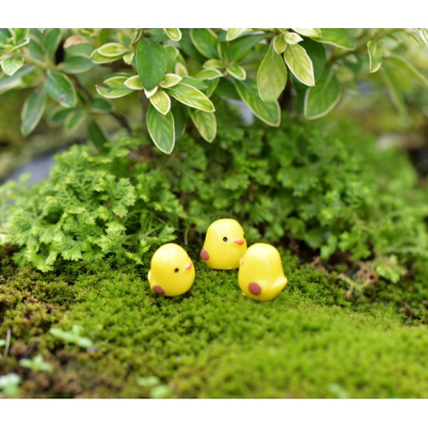 Phụ kiện trang trí tiểu cảnh terrarium gà con vàng size mini decor chậu cây