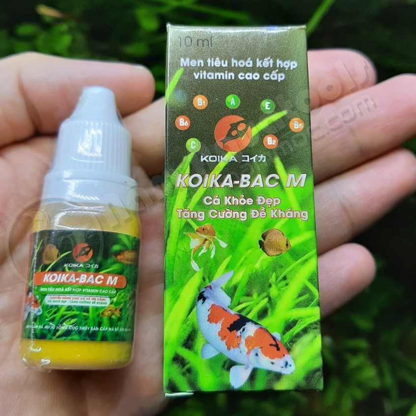 Koika BAC M | Vi sinh đường ruột kết hợp vitamin cao cấp cho cá tép cảnh